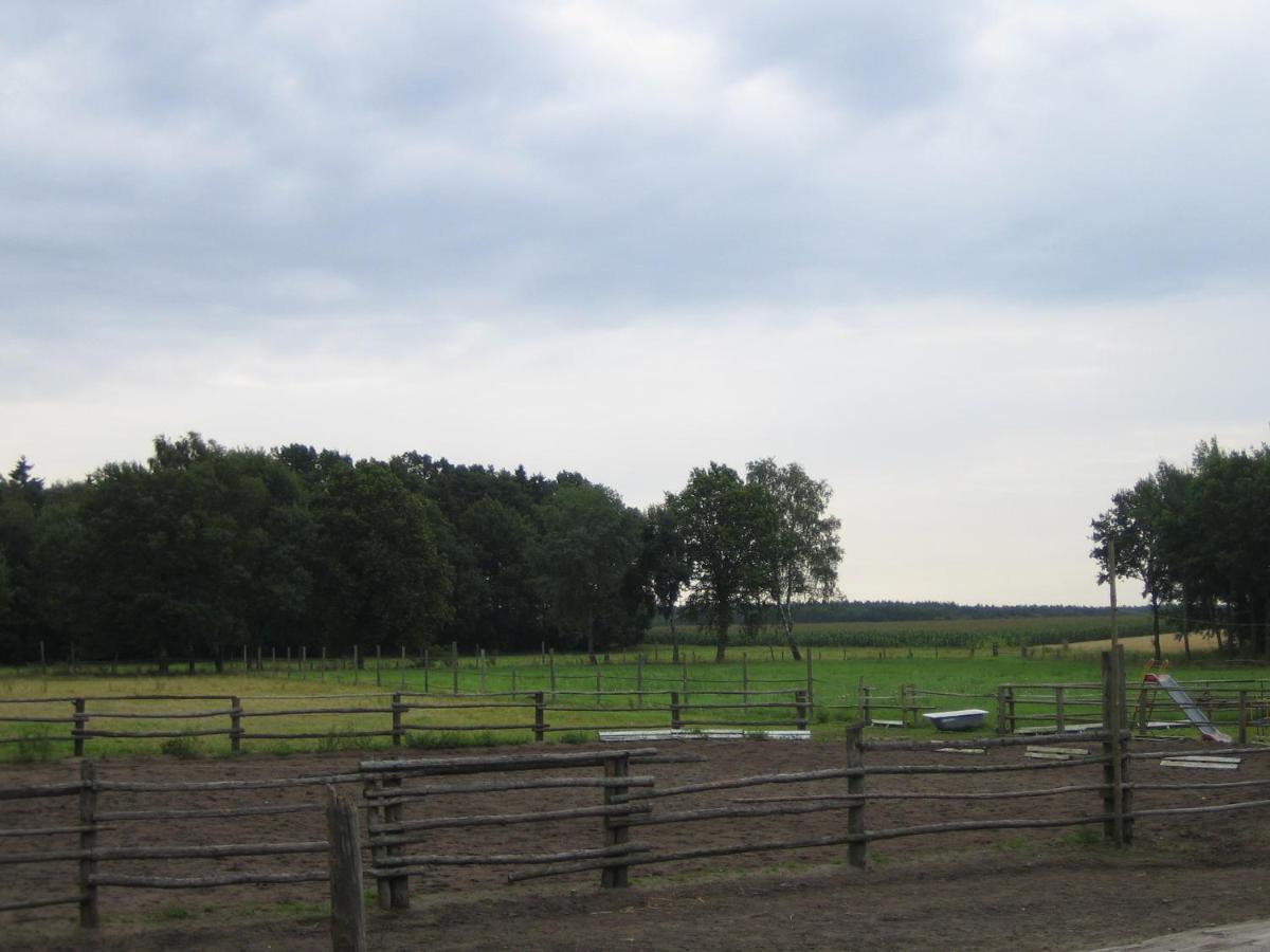 Ferienhof Drewes Ranch فيتزيندورف المظهر الخارجي الصورة